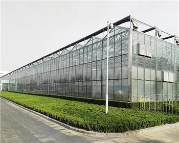 四川溫室大棚種植有哪些優(yōu)點(diǎn)是你還不知道的？